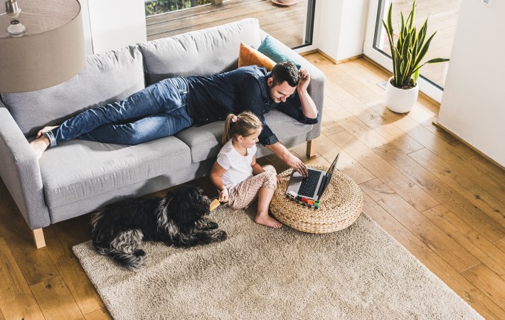 people, children, working, dog, homeworking