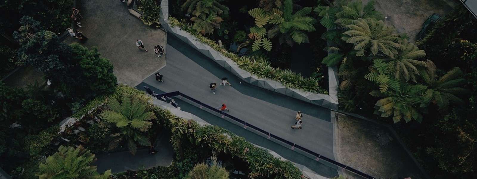 People walking on path through trees